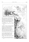 Thumbnail 0044 of St. Nicholas. May 1875