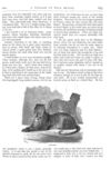 Thumbnail 0018 of St. Nicholas. August 1877