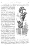 Thumbnail 0020 of St. Nicholas. August 1877