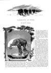 Thumbnail 0042 of St. Nicholas. November 1887