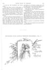 Thumbnail 0055 of St. Nicholas. November 1887
