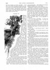 Thumbnail 0007 of St. Nicholas. July 1888