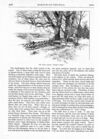 Thumbnail 0008 of St. Nicholas. April 1887