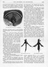 Thumbnail 0017 of St. Nicholas. April 1887
