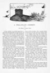 Thumbnail 0031 of St. Nicholas. January 1890
