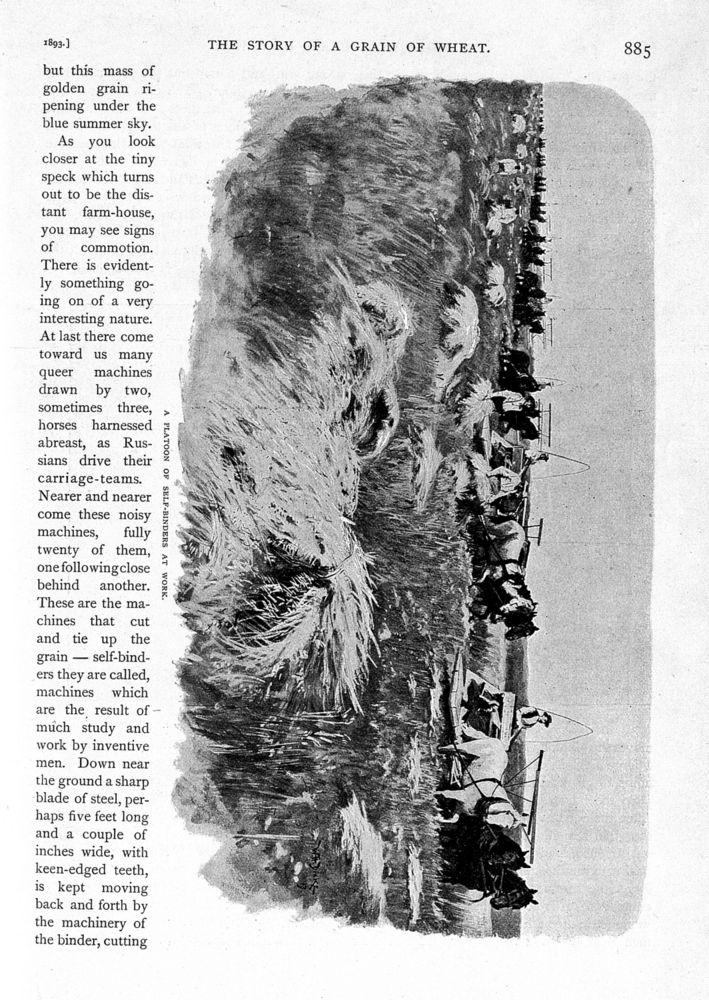Scan 0007 of St. Nicholas. October 1893