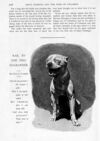 Thumbnail 0030 of St. Nicholas. October 1893