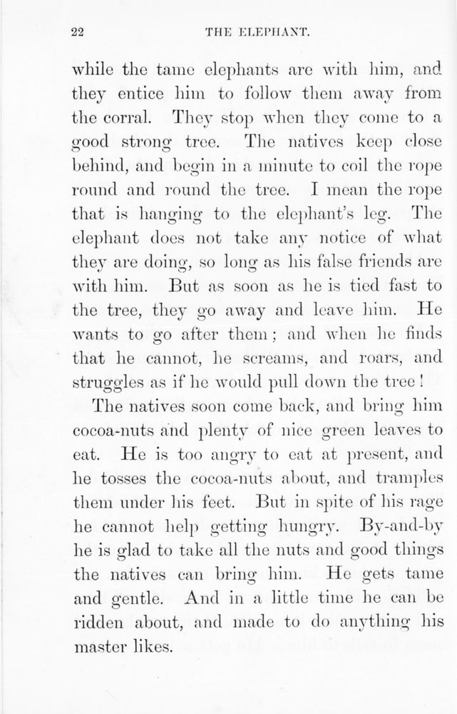 Scan 0024 of Pictures and stories of natural history