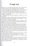 Thumbnail 0035 of Csalapinta villanytörpék