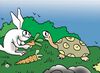 Thumbnail 0007 of The hare and the tortoise (again!)