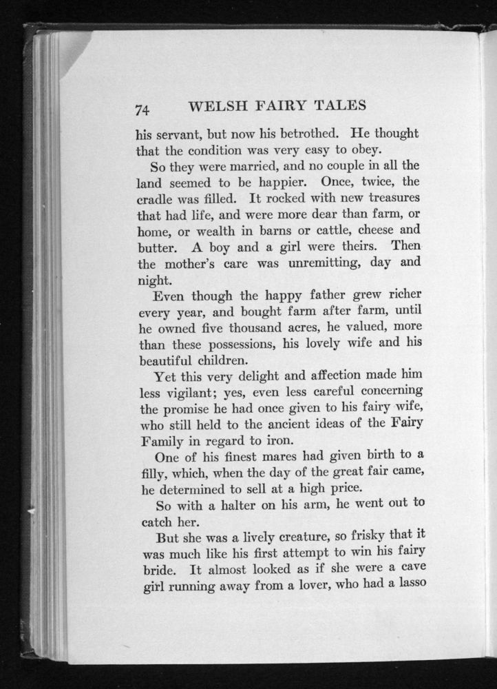 Scan 0090 of Welsh fairy tales