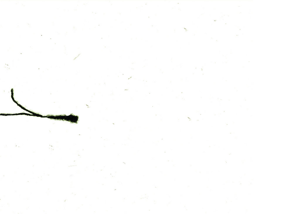 Scan 0030 of سفر پروانه