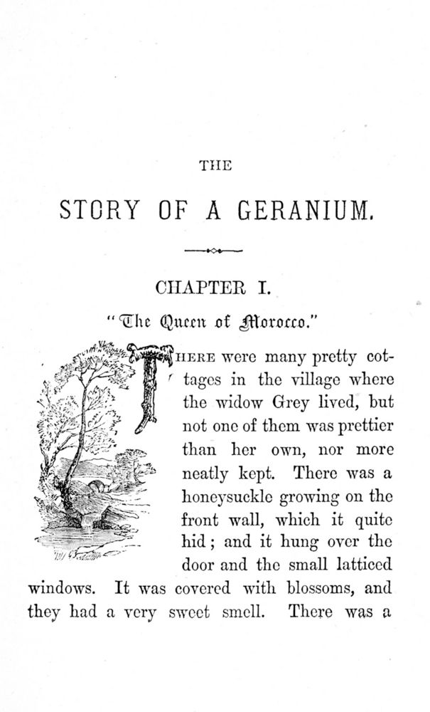 Scan 0008 of The story of a geranium