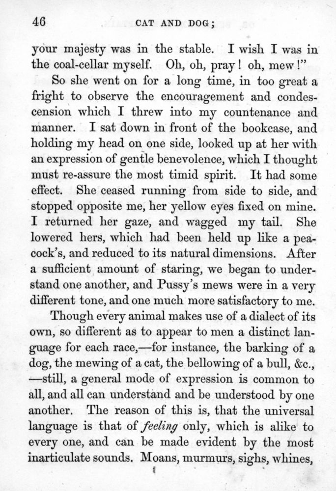 Scan 0050 of Cat and dog, or, Memoirs of Puss and the Captain