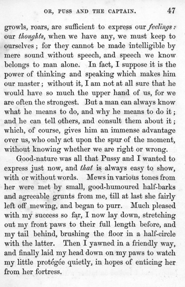Scan 0052 of Cat and dog, or, Memoirs of Puss and the Captain