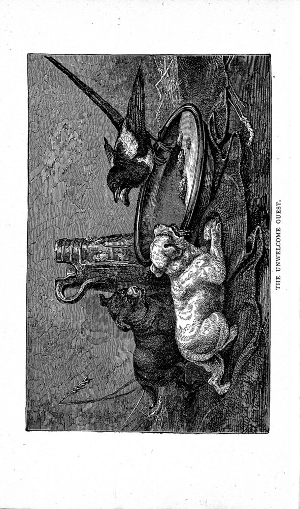 Scan 0004 of Original fables