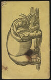 Thumbnail 0026 of Little Robert and the owl