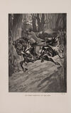 Thumbnail 0012 of The rider of the black horse