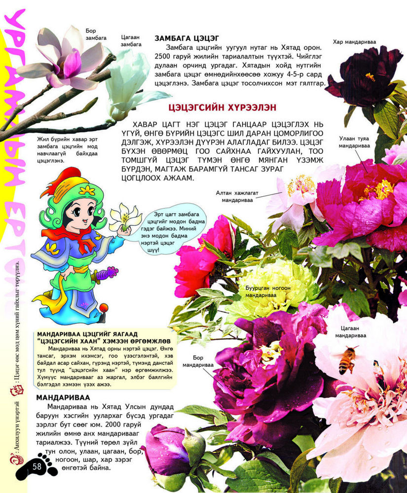 Scan 0074 of Ургамлын ертөнц