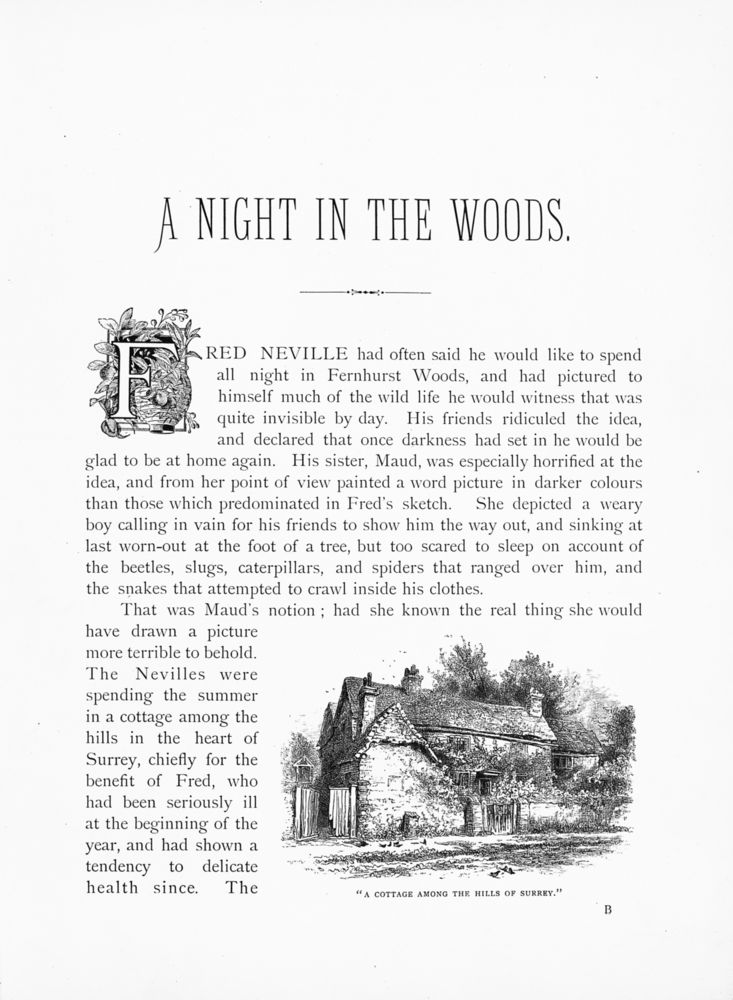 Scan 0011 of A night in the woods and other tales and sketches